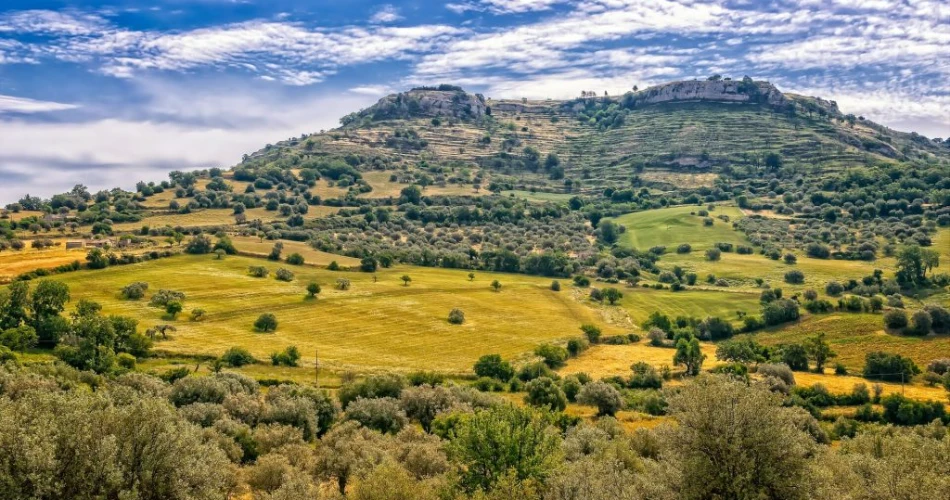 Top Things to Do in Piazza Armerina, Italy: Discover Sicily’s Hidden Treasures
