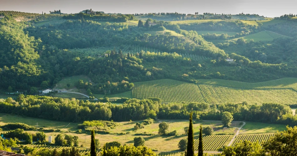 Discover the Top Attractions in Piazza Armerina, Italy